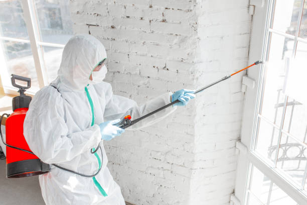 Trusted Fairfield Beach, OH Mold Removal Experts