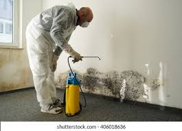 Best Emergency Mold Remediation in Fairfield Beach, OH